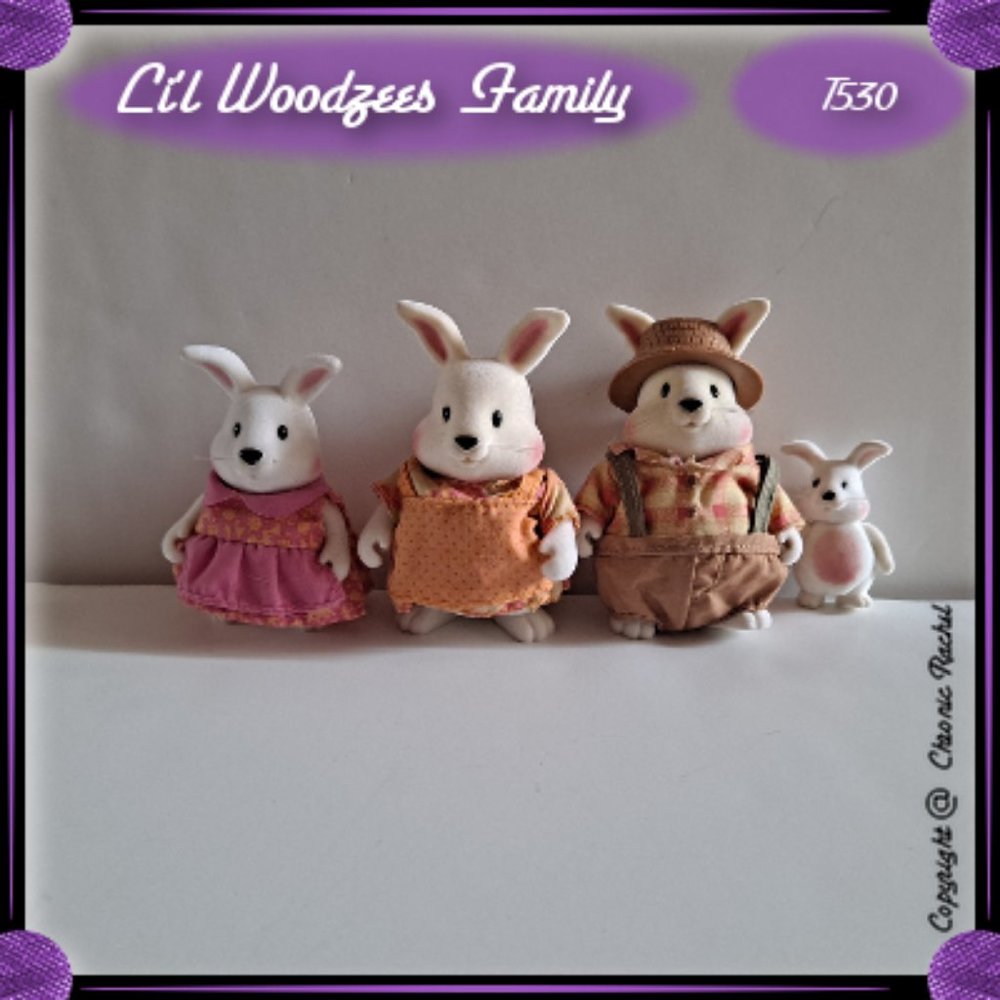 Hoppingood Rabbit Family